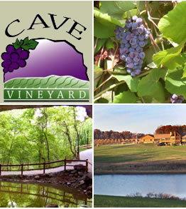 Cave Vineyard & Distillery