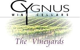 Cygnus Wine Cellars