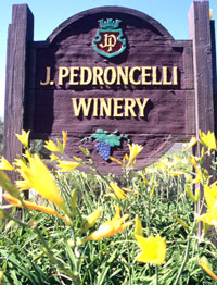 Pedroncelli Winery