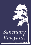 Sanctuary Vineyards