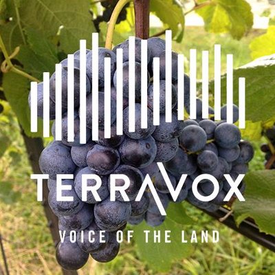 Vox Vineyards