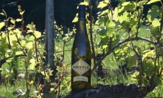 Willamette Valley Riesling