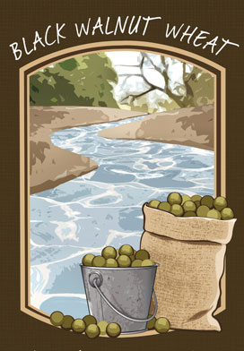Black Walnut Wheat