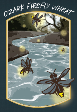 Ozark Firefly Wheat