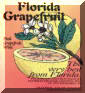 Florida Grapefruit